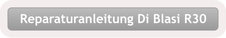 Reparaturanleitung Di Blasi R30