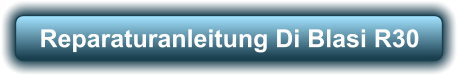 Reparaturanleitung Di Blasi R30